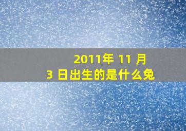 2011年 11 月3 日出生的是什么兔